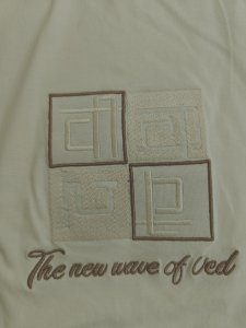 The Essence of VeechiVed